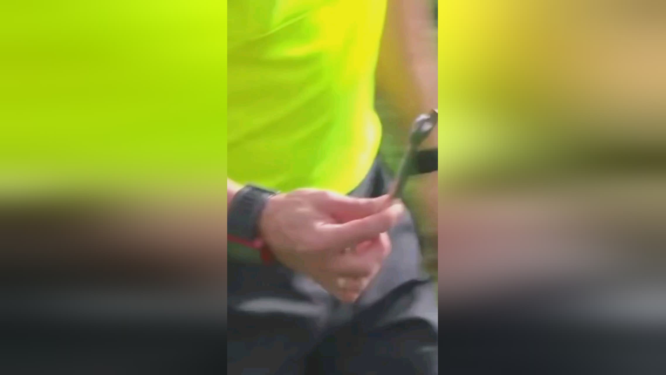 企业和农民